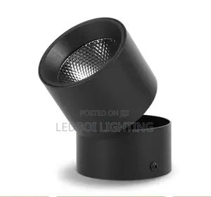 Adjustable Cantilever Down Light