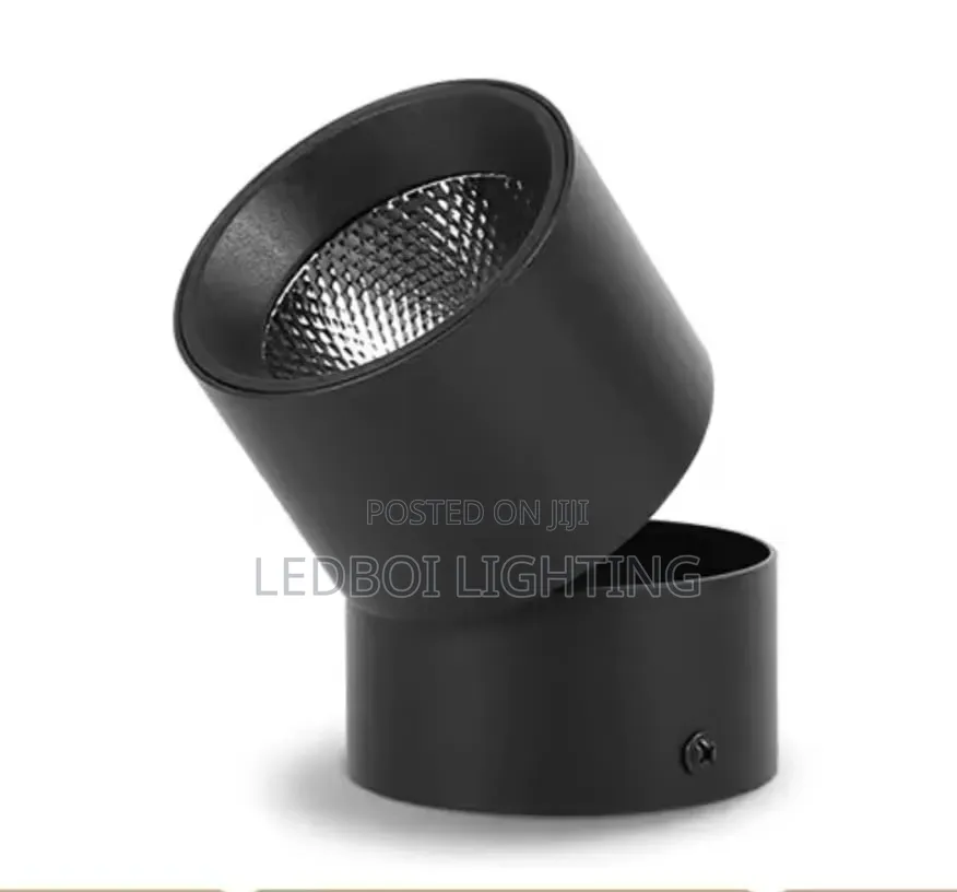 Adjustable Cantilever Down Light