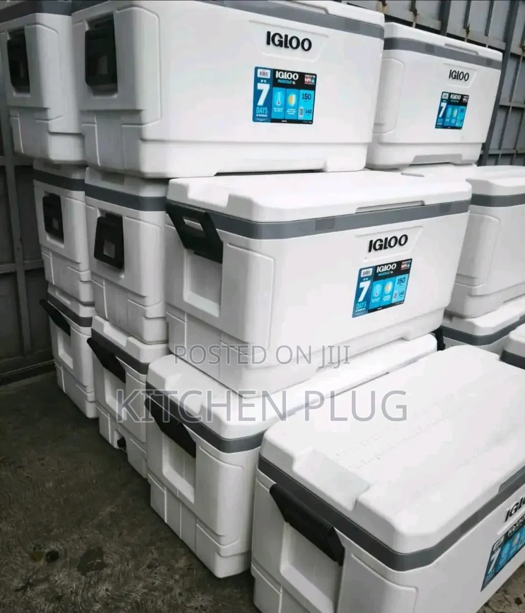 Igloo 150-Quart Maxcold Performance Cooler.
