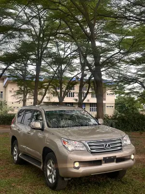 Lexus GX 460 Premium 2012 Gold