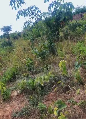 Land for Sale With All the Deeds and Close to Modern Development