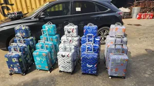 Plastic Luggage Box
