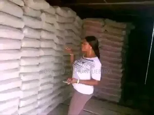 Dangote Cement 3x