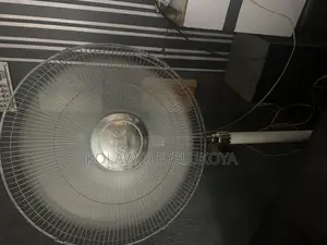 Standing Fan