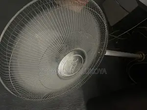 Standing Fan
