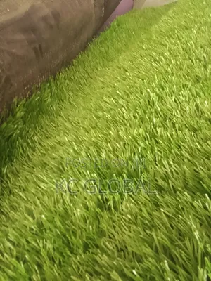 Artificial Grass. Available in Different Sizes and Colors.High Quality