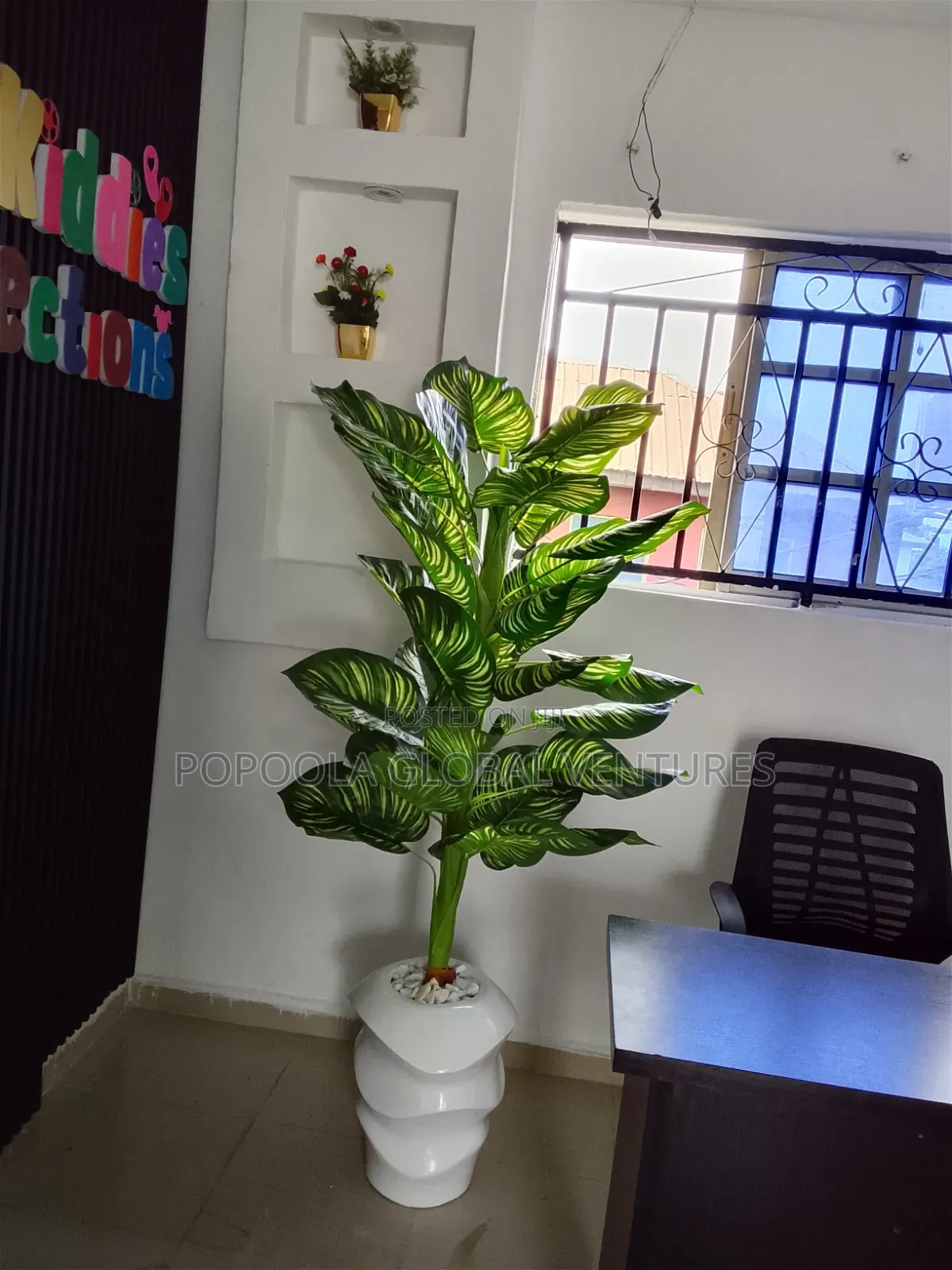 Flower Pot and Zebra Flower
