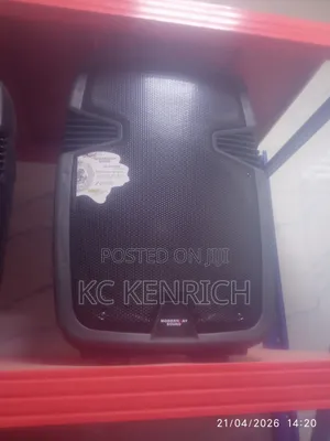 12 Inch Public Address Speaker With 2 Mic