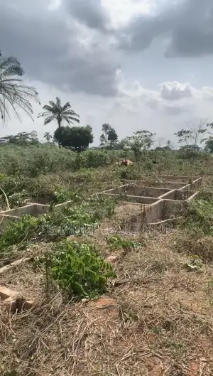 Land Property