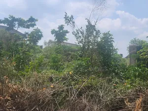 Fenced and Gated 2 Plot of Land at Wisdom Estate Akobo Ibadan for Sale