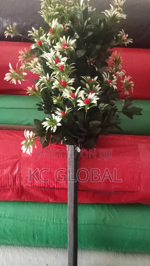 Flower Tree Available