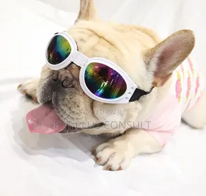 Dog Sun Glasses