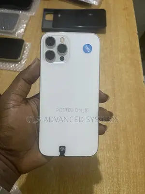 Apple iPhone 12 Pro Max 256 GB Silver