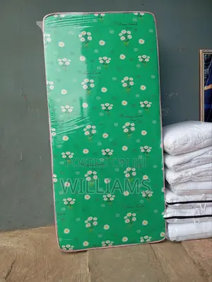 3 by 6 Student Size Green Earth Mattress