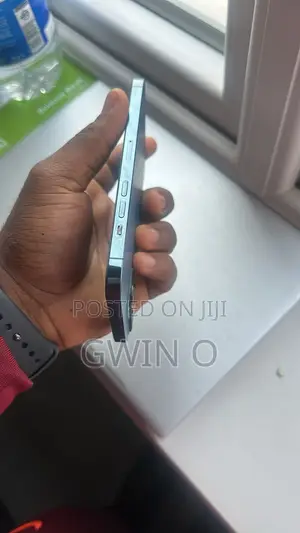 Apple iPhone 12 Pro Max 256 GB Blue