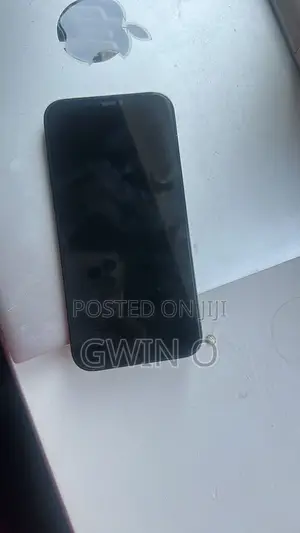 Apple iPhone 12 Pro Max 256 GB Blue