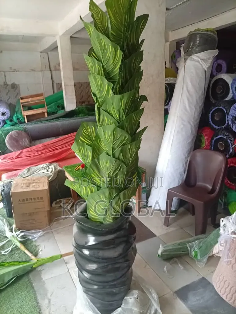 Flower and Pot Available for House