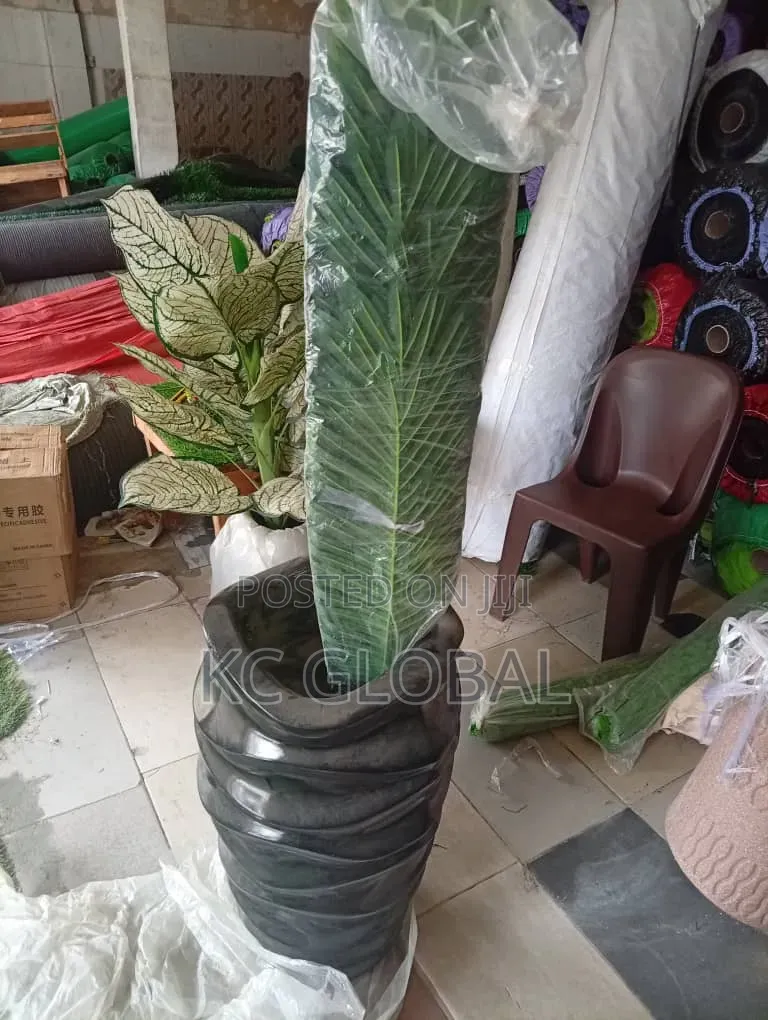 Flower and Pot Available for House