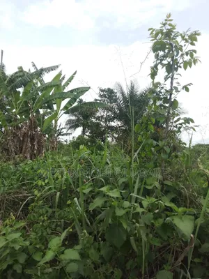 200 Plots of Farmland for Sale