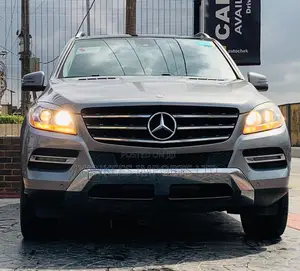 Mercedes-Benz M Class ML350 4dr SUV (3.5L 6cyl 7A) 2015 Silver