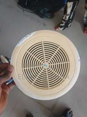 Celling Speaker