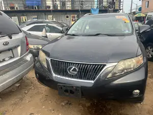 Lexus RX 2010 Gray