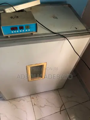 Used 500 Egg Capacity Incubator Available
