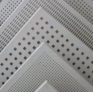 Metal Suspended Ceiling Conserve