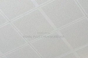 Metal Suspended Ceiling Conserve