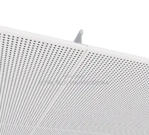 Metal Suspended Ceiling Conserve