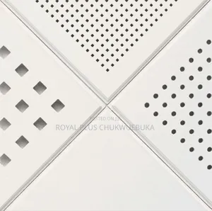 Metal Suspended Ceiling Conserve