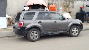 Ford Escape XLT 2011 Gray