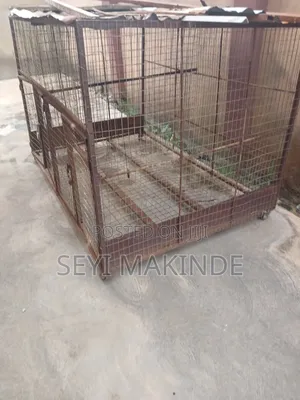 2 Double Big Cage