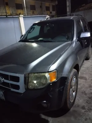 Ford Escape XLT 2011 Gray