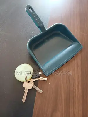 Small Plastic Dust Pan (Parker) -- 12pcs