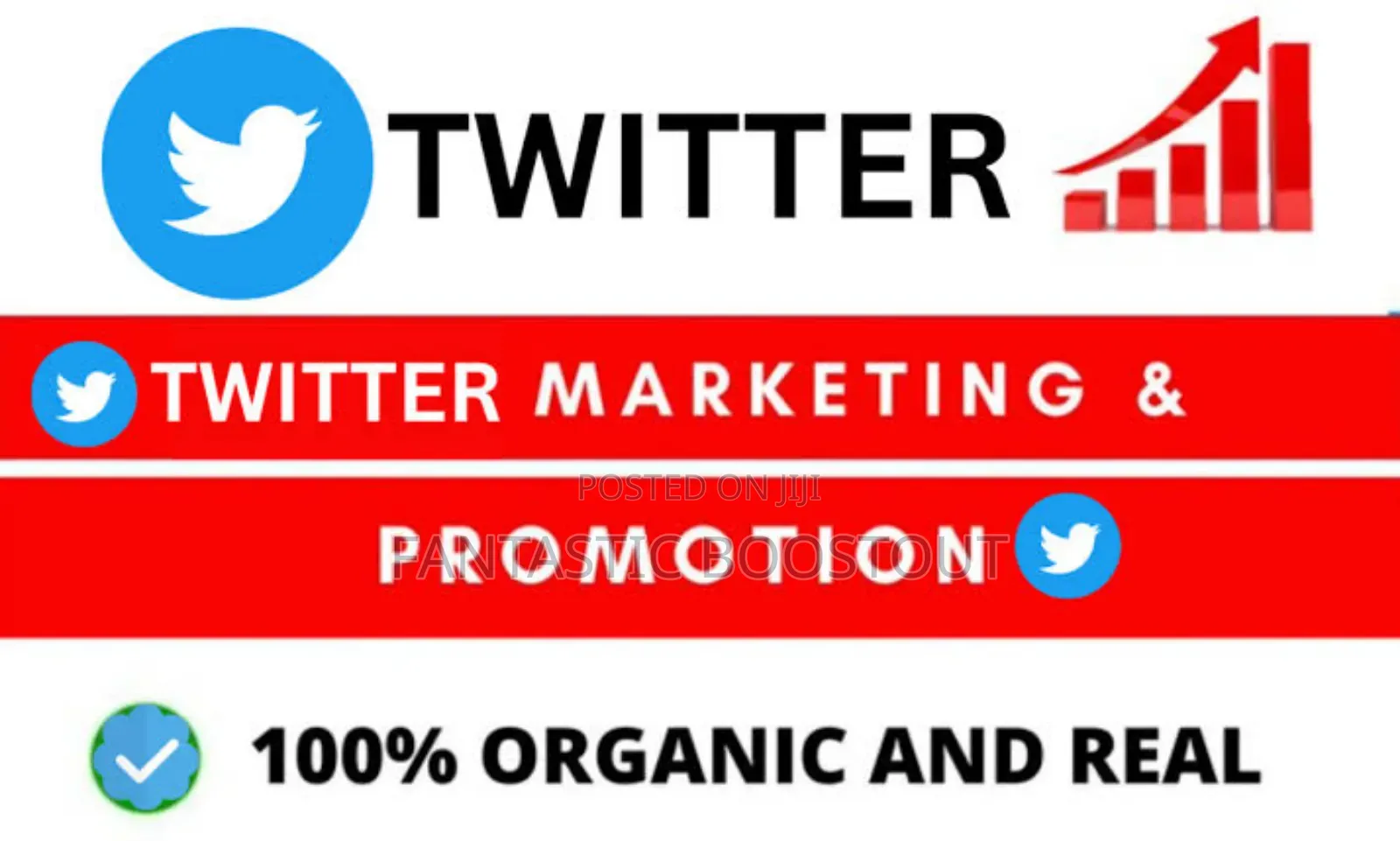Twitter Boost Promotion