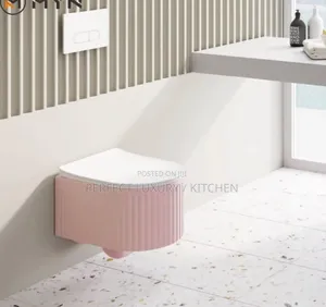 Pink Wall Hung Concealed W C Water Closet 