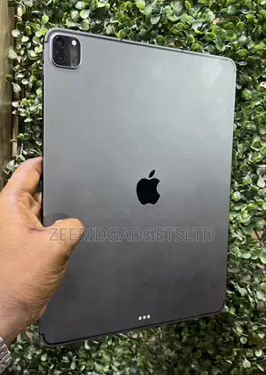 Apple iPad Pro 12.9 (2022) 256 GB
