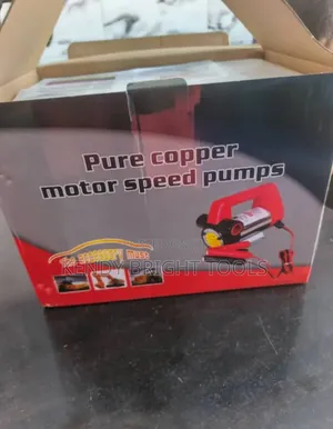 Battery Diesel Transfer Pump