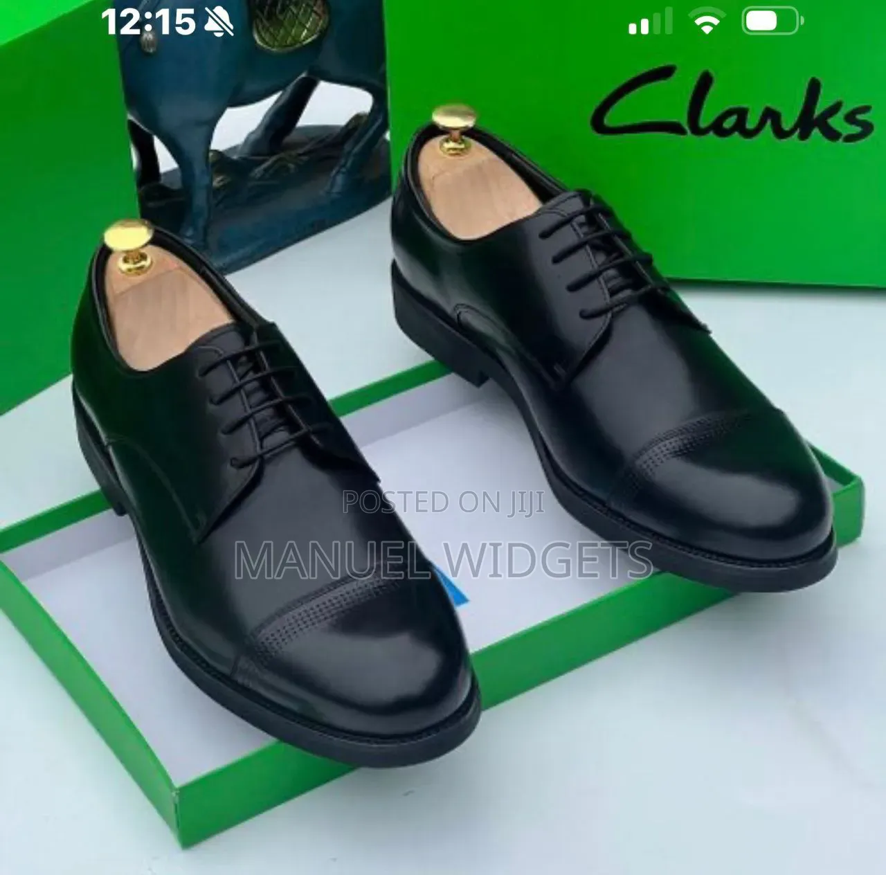 Clarks Corporate Shoe — Premium Quality