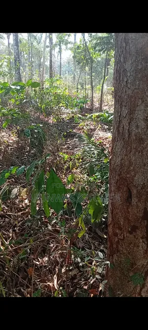 3 Plots of Land to Sell