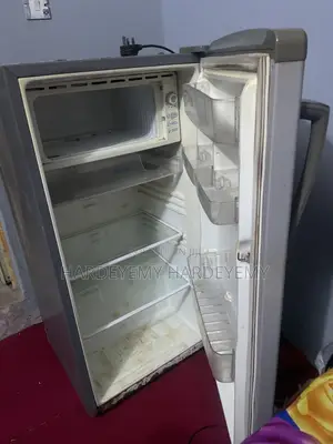 Standing Fridge
