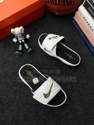 Nike Air Lebron Slide 2