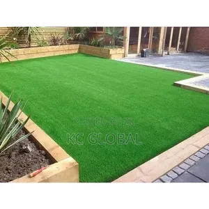 Artificial Grass Available for House  20mm