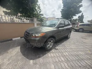 Hyundai Santa Fe 3.3 SE 2007 Gray