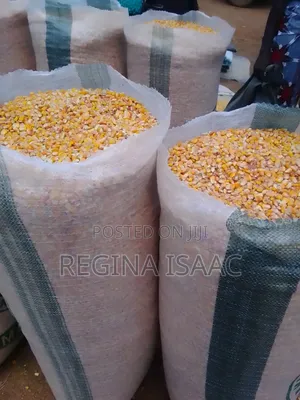 Bag of Corn, Millet,Guinea Corn, Beans