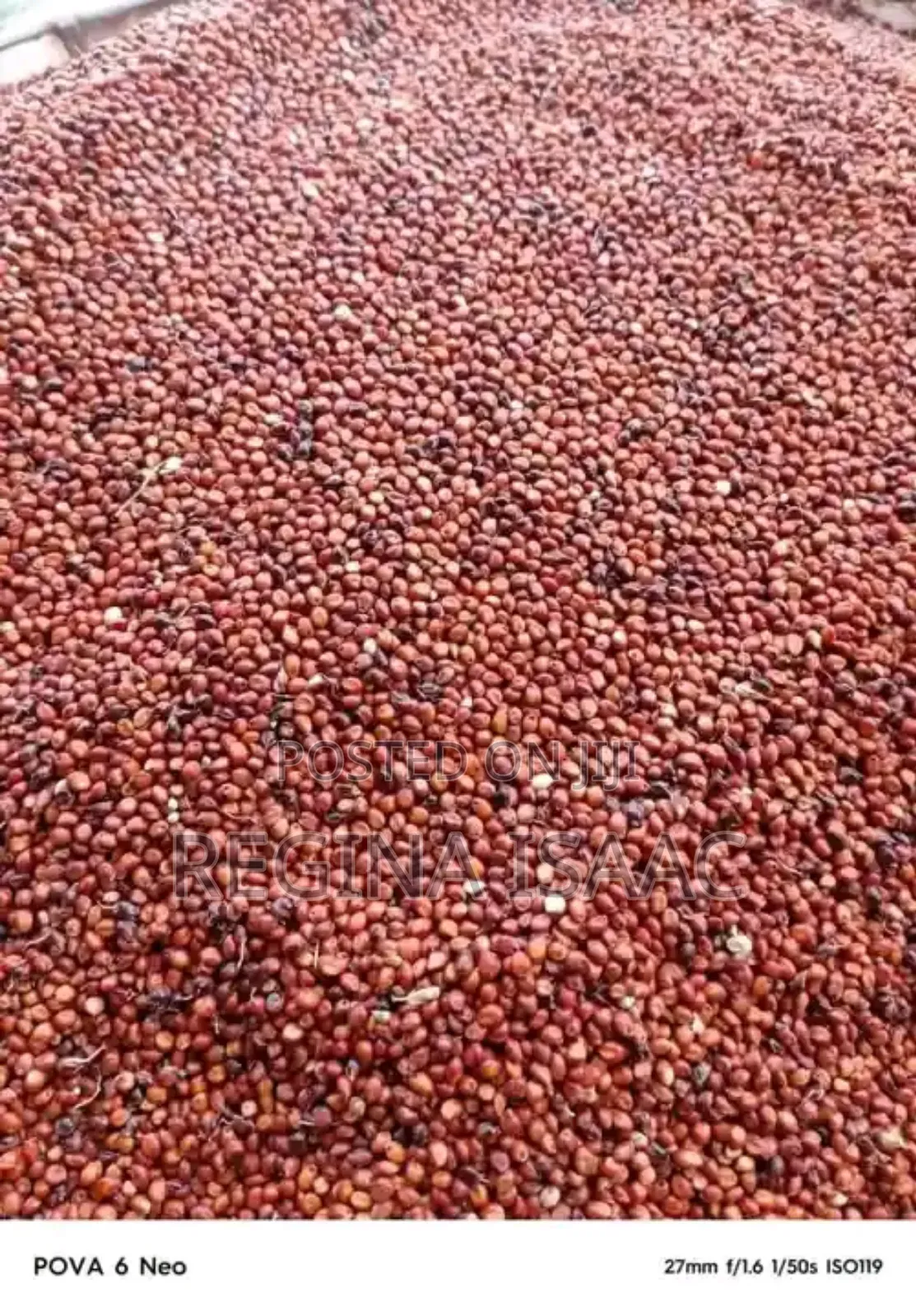 Bag of Corn, Millet,Guinea Corn, Beans
