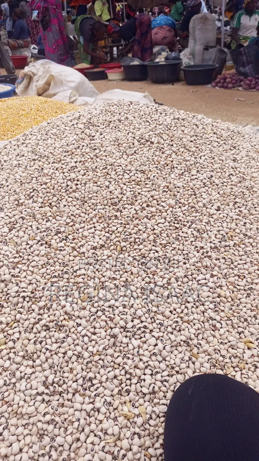 Bag of Corn, Millet,Guinea Corn, Beans