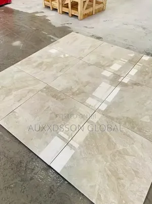 Diano Royal Marble Tiles 60cm X 60cm X 20mm