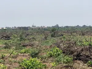 150plots at Umuapu for Sale